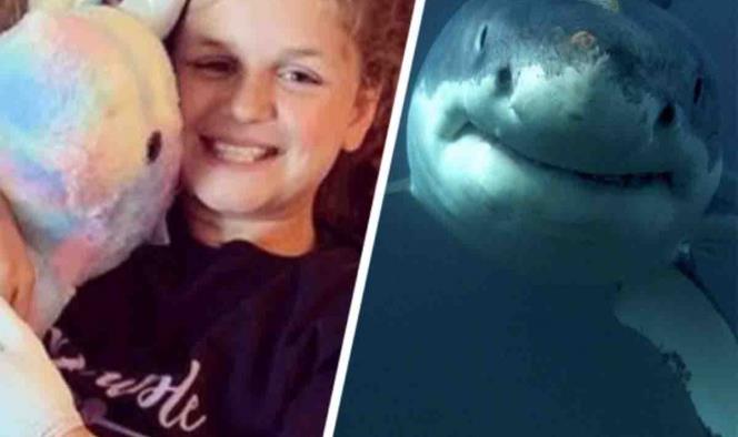Niña es atacada por tiburón en Florida y logra sobrevivir