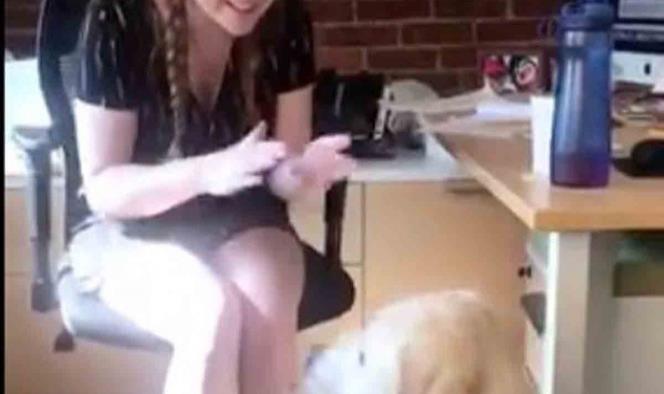 Chica le enseña lengua de señas a su perrita sorda; aquí el resultado