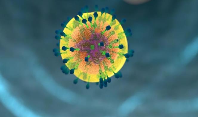 Científicos probarán vacuna de larga duración contra el VIH