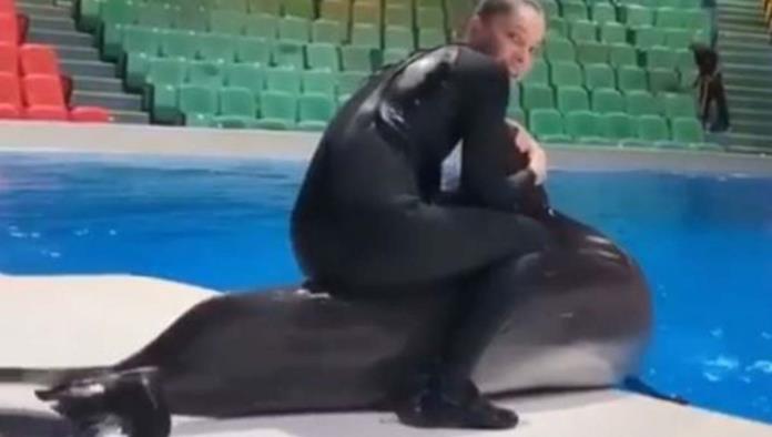 Video de entrenadora maltratando a delfín causa indignación