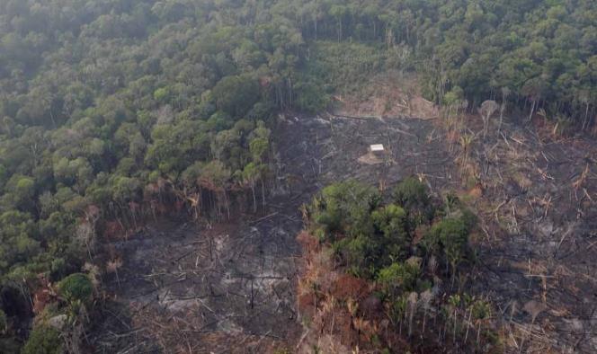 Se solidariza México por incendios en Amazonas; SRE ofrece apoyo