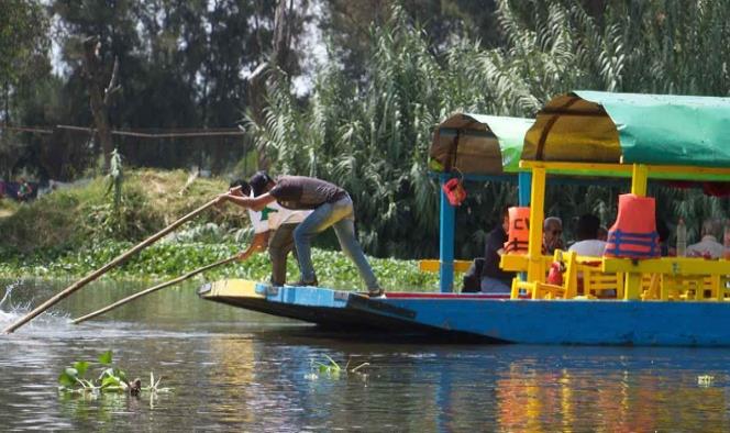 En Xochimilco se ahogan los pend… todos flotan, menos ‘Chema’
