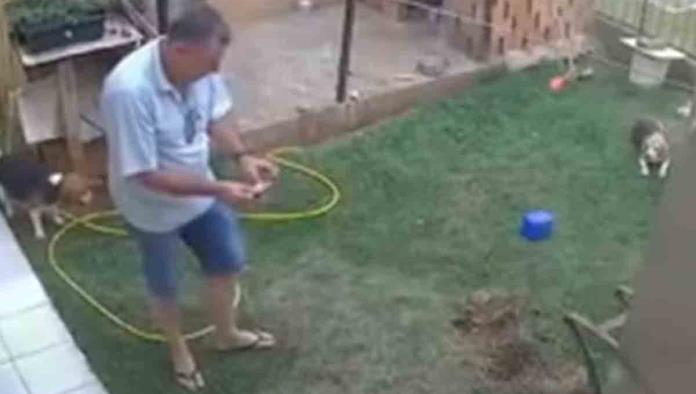 Hay talento... Hombre explota su jardín para eliminar plaga de cucarachas