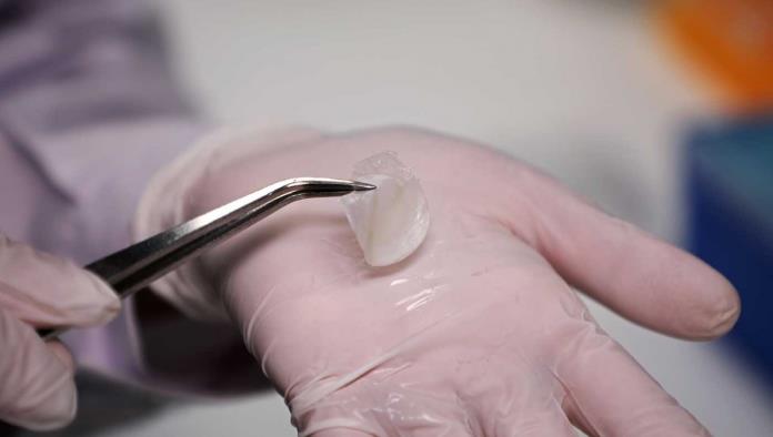 Científicos producen piel humana in vitro