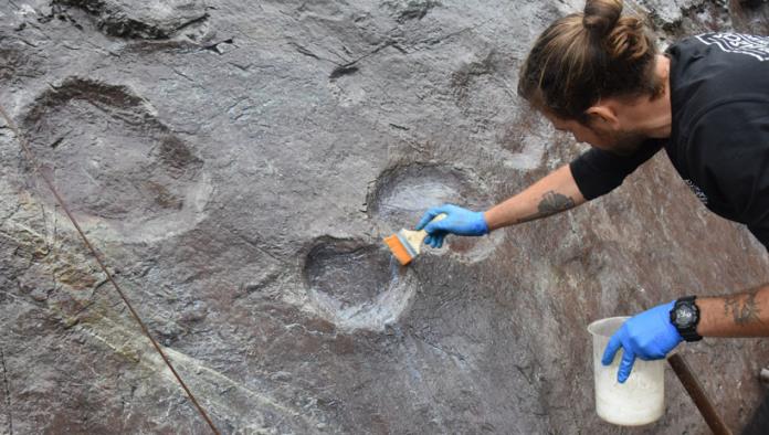 Encuentran más de 300 huellas de dinosaurios en China