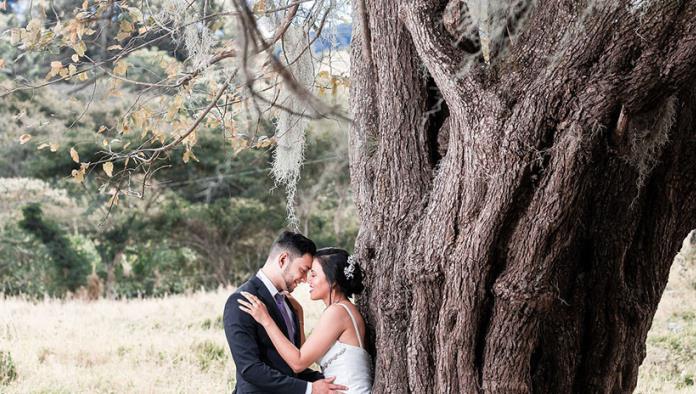 Recién casados se salvan por segundos de quedar aplastados por una rama de árbol