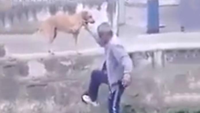 Un hombre ebrio pide a su perro que le ayude a subir un muro pero algo sale mal