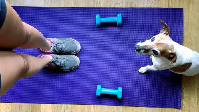 Un pequeño perro se hace viral haciendo yoga con su amo