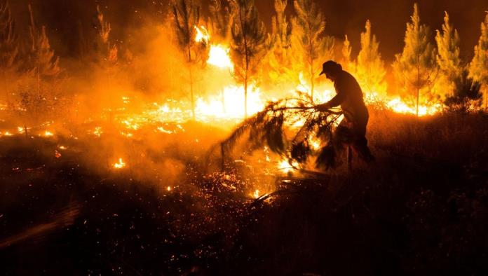 40 incendios forestales se mantienen activos en diversas regiones de Chile