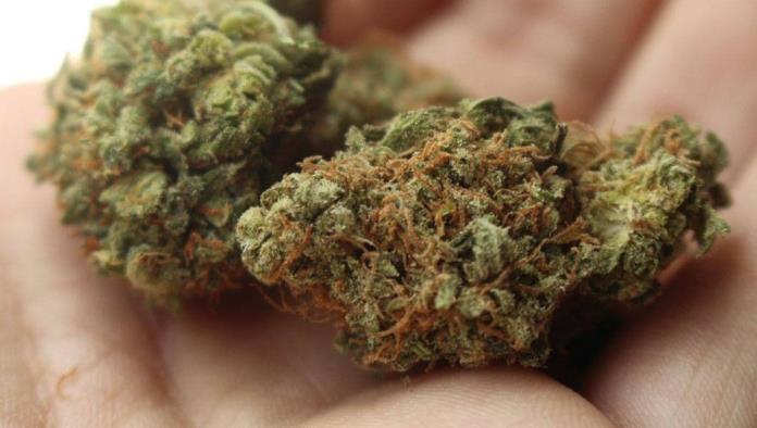 Venta ilegal de cannabis crece a falta de reglas