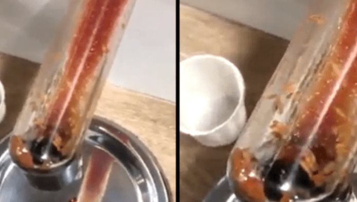 Encuentran gusanos en comida de famoso restaurante
