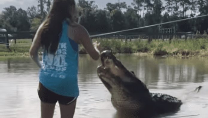 Mujer alimenta a enorme cocodrilo en su mandíbula (VIDEO)