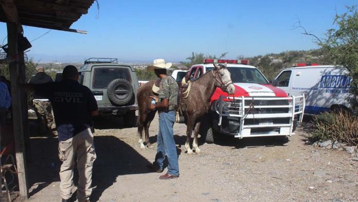 Huye mujer al monte