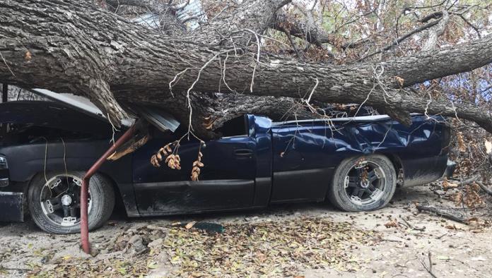 Destroza árbol camioneta
