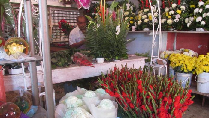 Esperan buenas ventas floristas por día de muertos