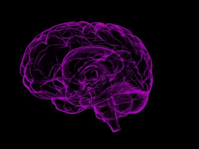 Investigan alteraciones cognitivas generadas por hidrocefalia