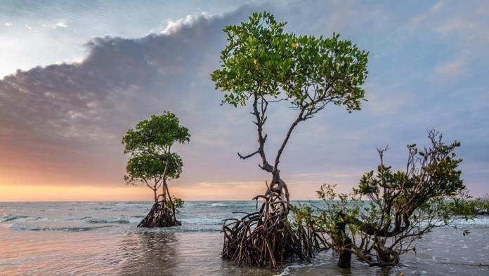 Cambio climático podría causar deficiencias psíquicas, obesidad y depresión