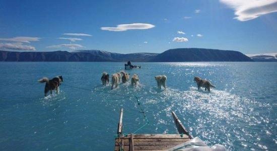 FOTO: Deshielo en Groenlandia expone la realidad del cambio climático