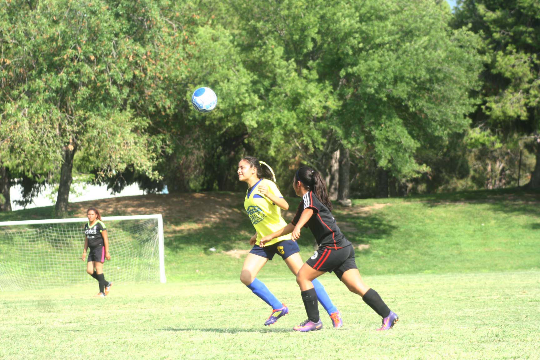 Gana Femenil del Cobac