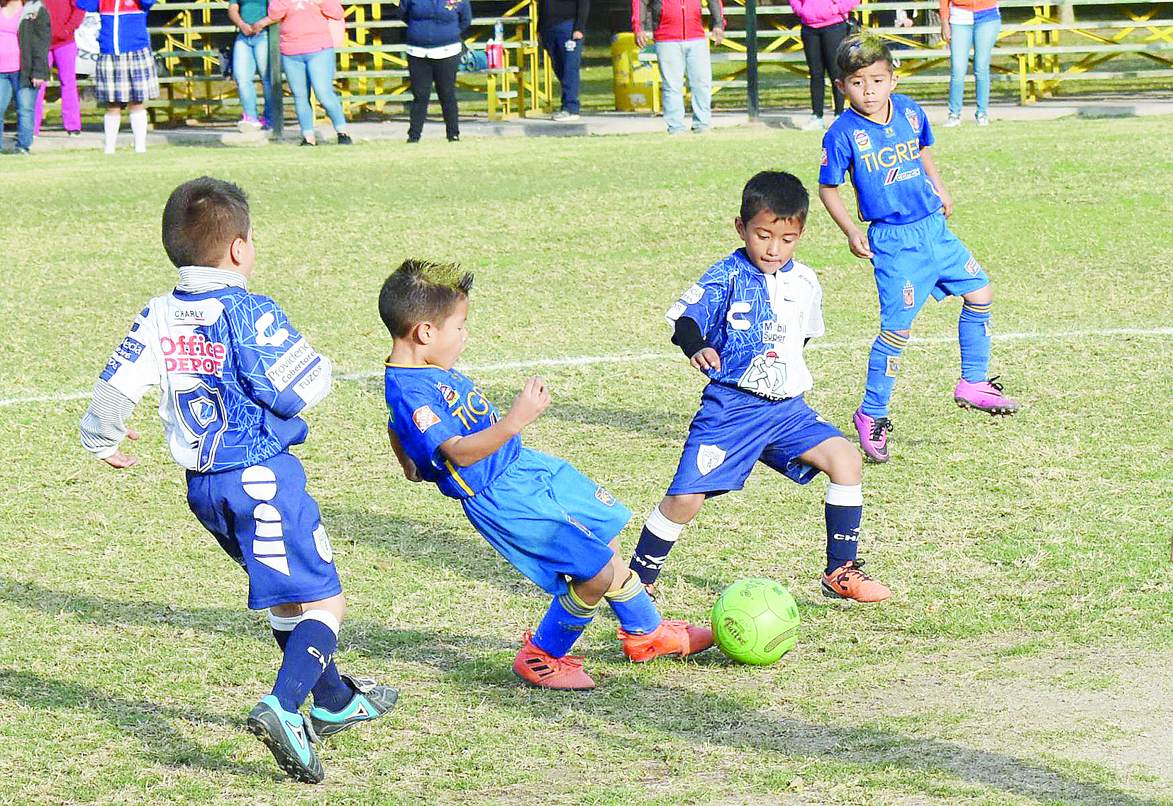 Felinos Tigres a la final, doblega a Pachuca