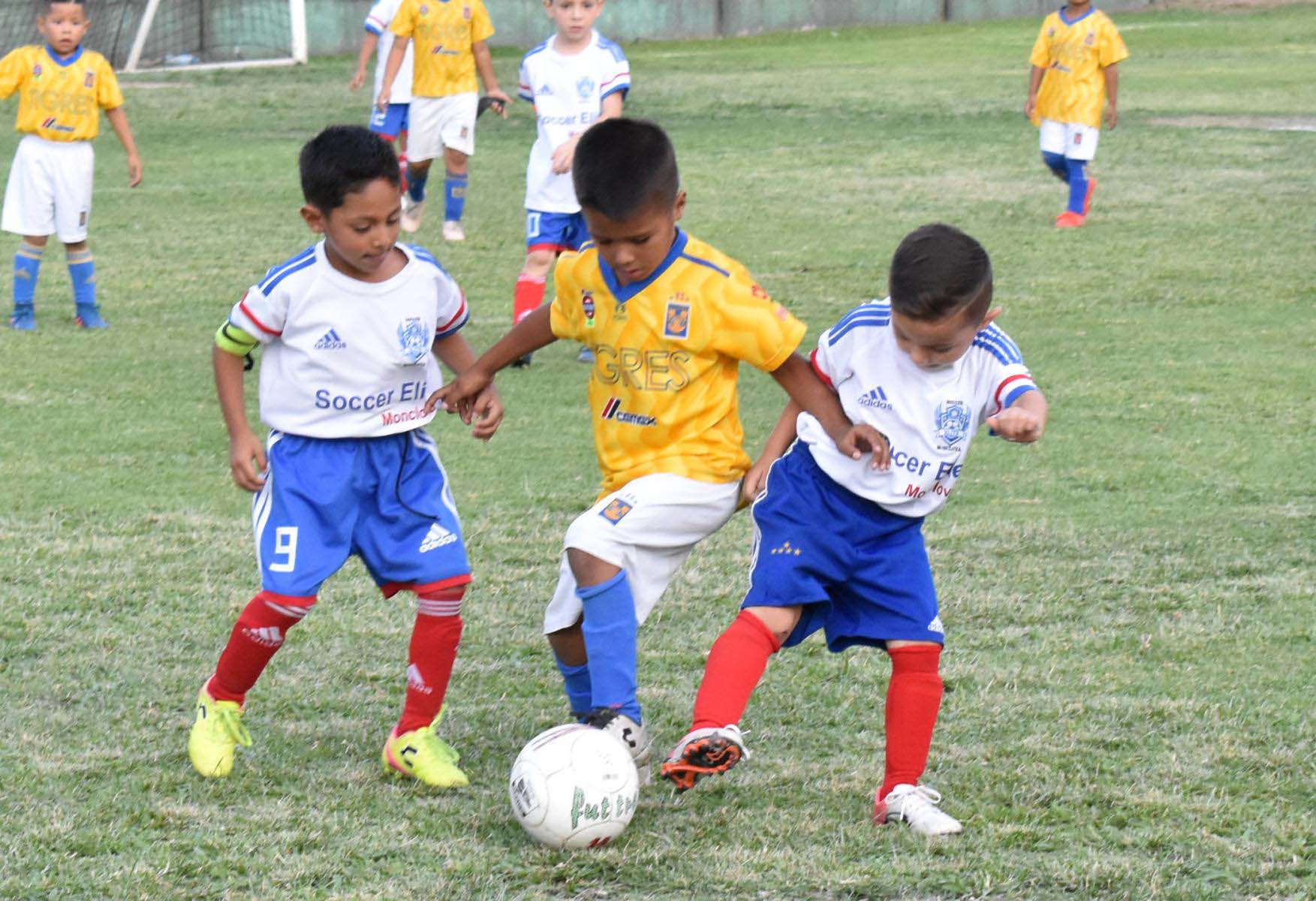 Rugido de Tigres