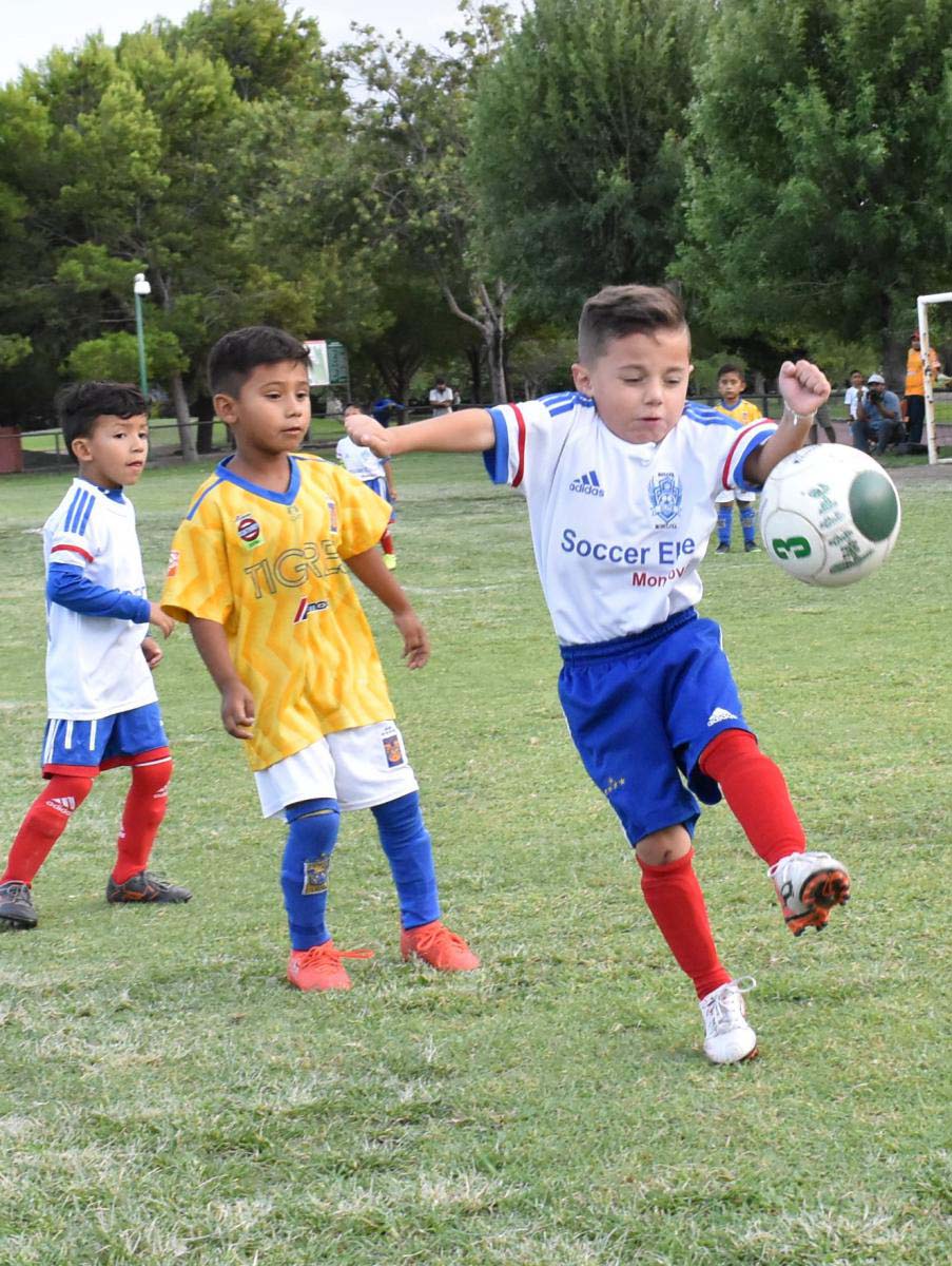 Rugido de Tigres