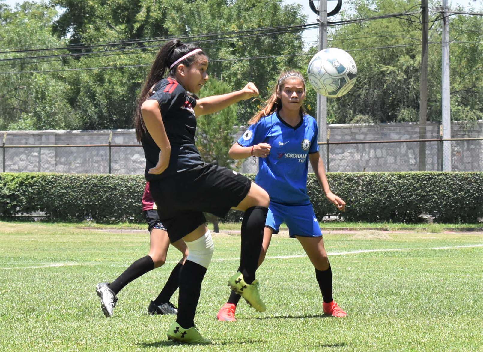 Técnica 29 campeonas