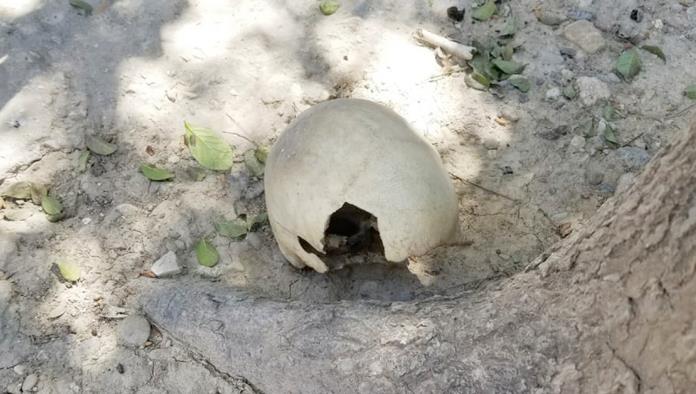 Encuentran un cráneo humano