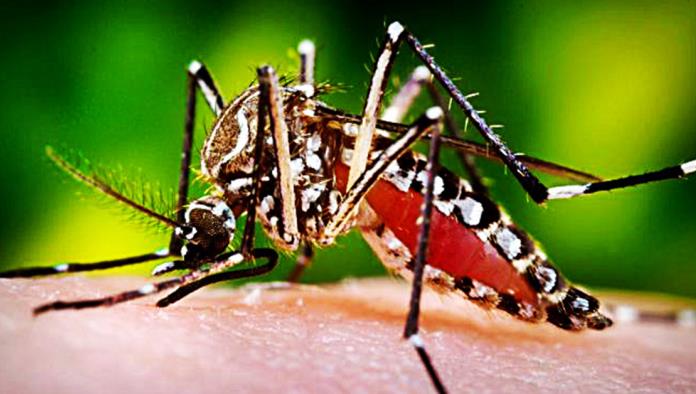 Mantendrán lo que resta de este 2018 campaña contra dengue, zika y chikungunya