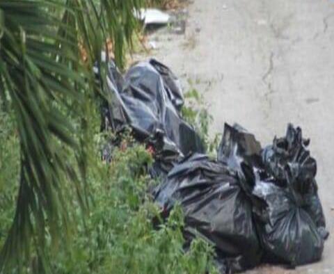 Hallan cuerpos desmembrados dentro de bolsas de plástico en Cancún
