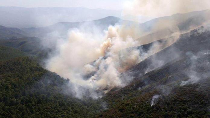 Afectan Incendios 2,400 hectáreas