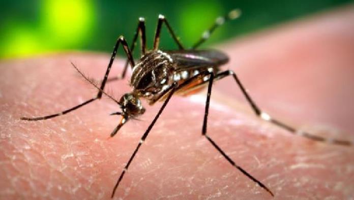 Impulsan acciones preventivas contra Dengue, Zika y Chikungunya