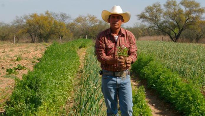 Impulsan Programa Rural, buscan arraigar a jóvenes