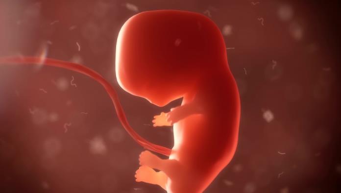 Científico descubre accidentalmente cómo crear embriones sin óvulos ni esperma