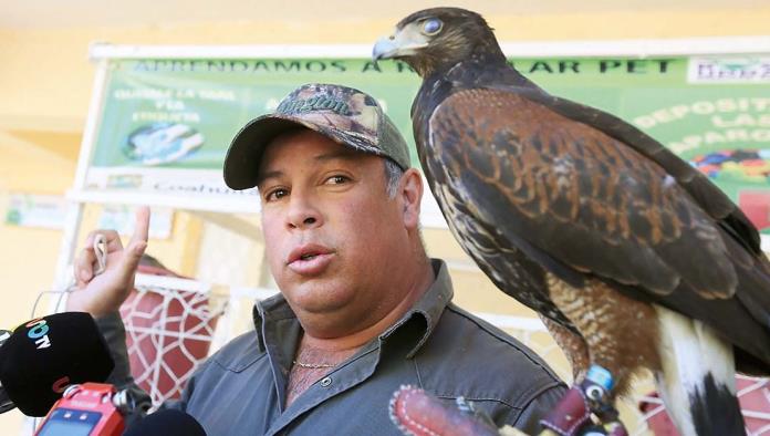 Liberan a gavilán que tenía el ala fracturada