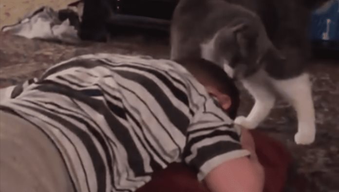Gato tranquiliza a niño que sufre una crisis nerviosa