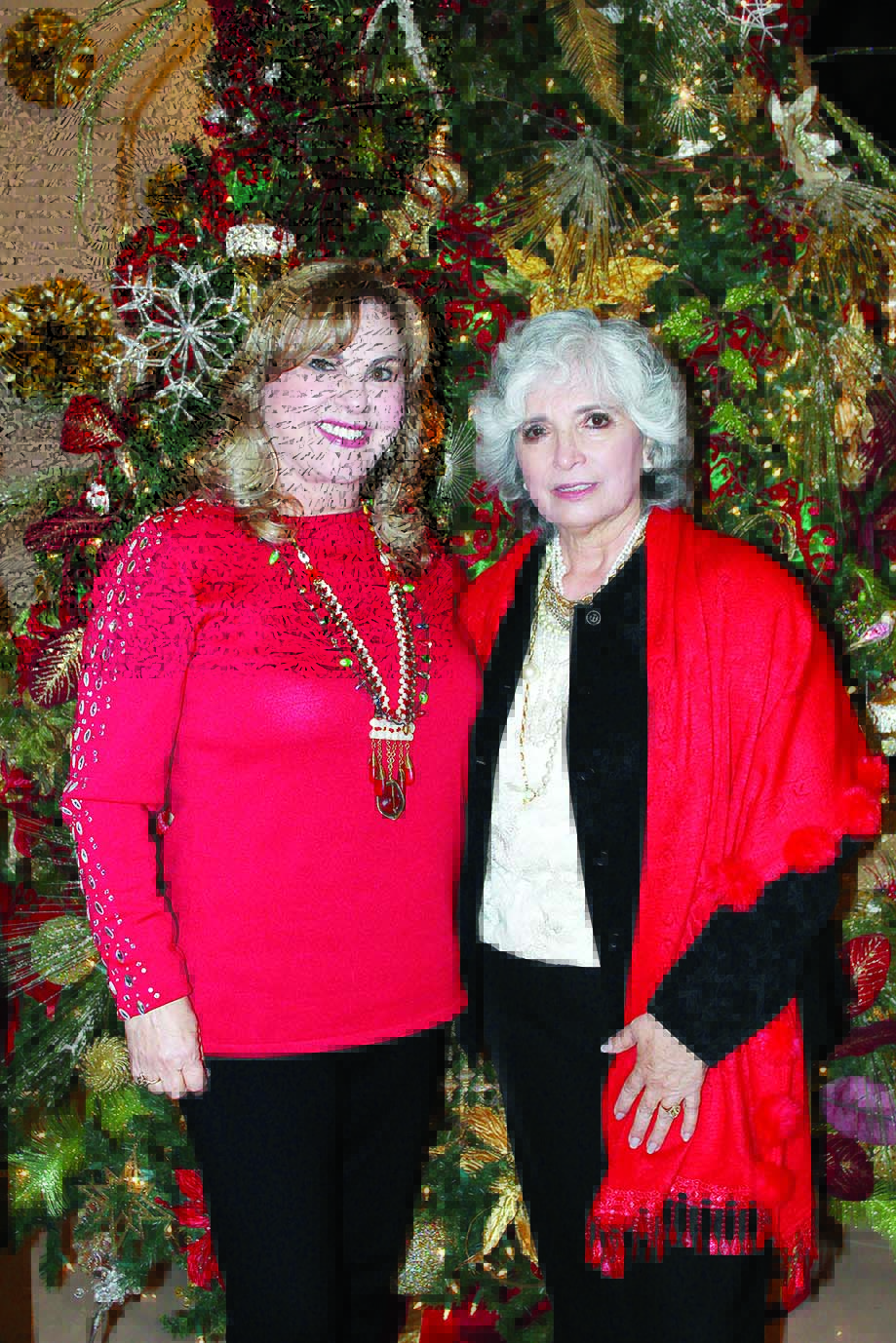CLUB DE JARDINERÍA & DISEÑO EL NOGAL