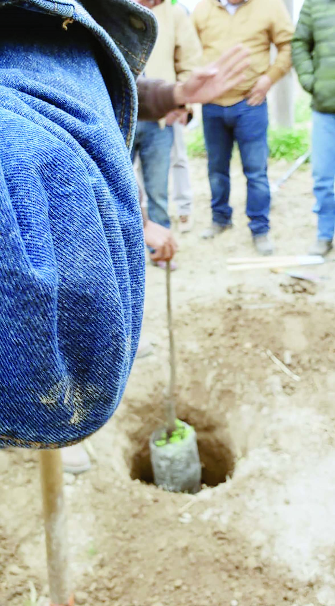 Capacitan sobre cultivo de nogal