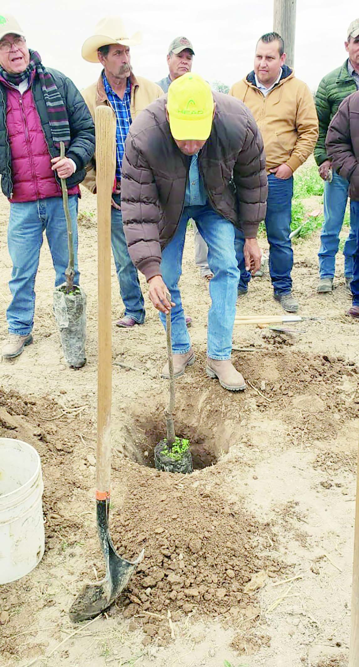 Capacitan sobre cultivo de nogal