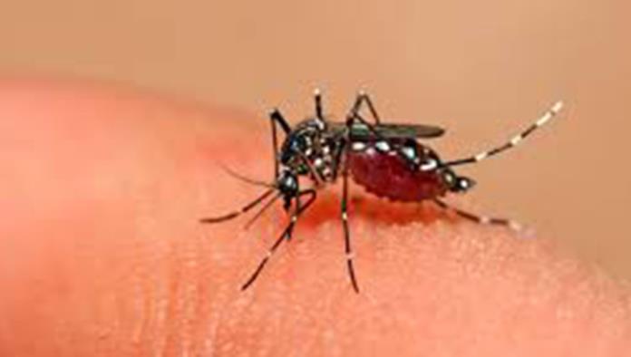 Síntomas de Influenza  y Dengue son parecidos