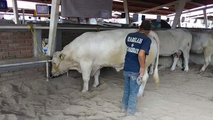 Mejorarán calidad de ganado en Coahuila