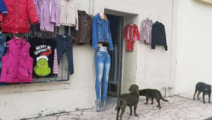 Envenenan perro guardián