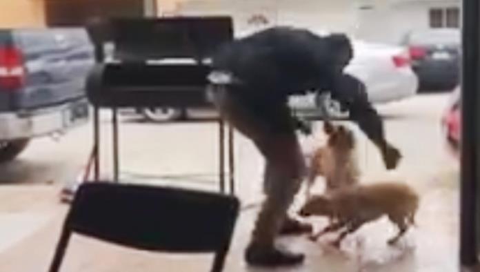 Formal denuncia hoy contra el responsable de atacar perro