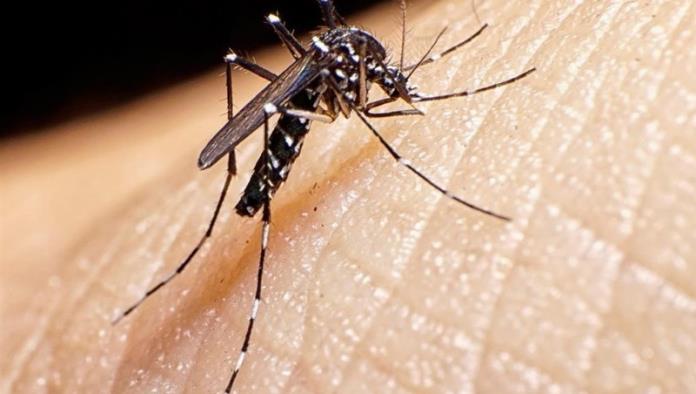 Arrancan programa contra dengue, zika y chikungunya