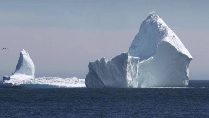 Alerta de posible tsunami tras ruptura de enorme iceberg