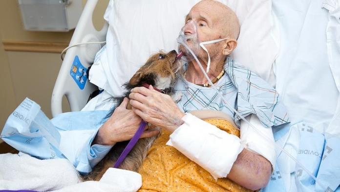 Veterano de guerra pide ver a su perro como último deseo