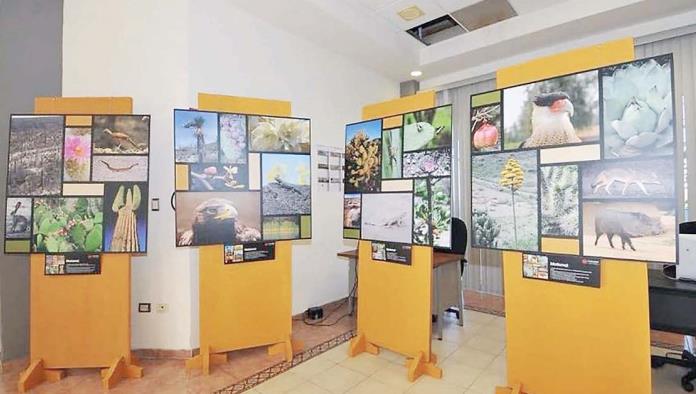 Exposición fotográfica en el archivo municipal