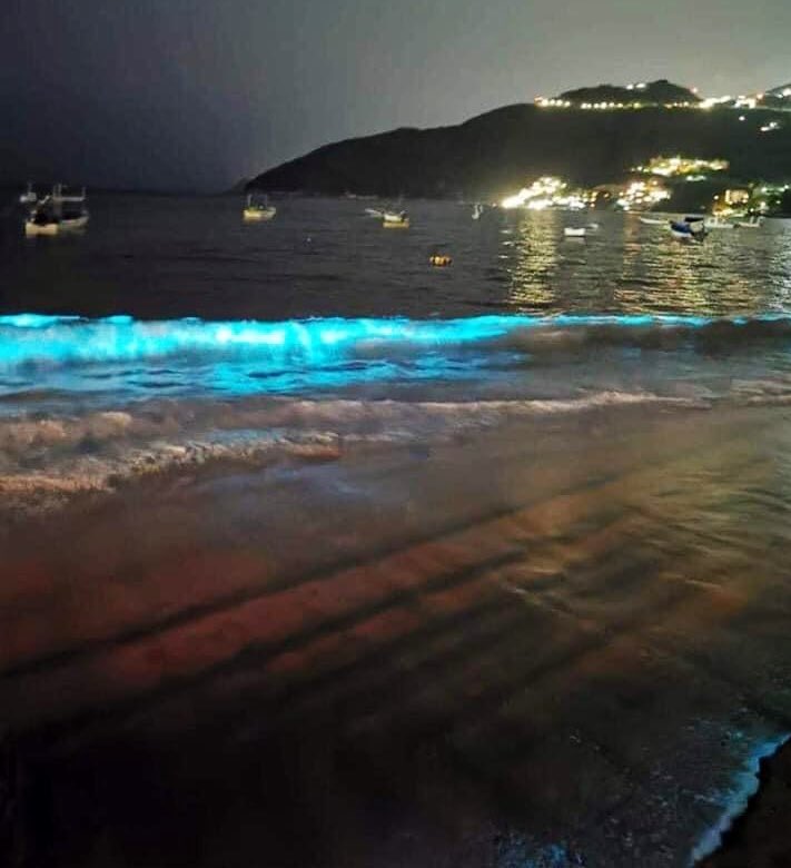 La naturaleza, haciendo de las suyas, llena de bioluminiscencia playas de Acapulco