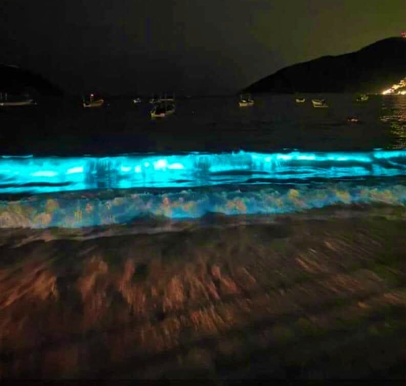 La naturaleza, haciendo de las suyas, llena de bioluminiscencia playas de Acapulco