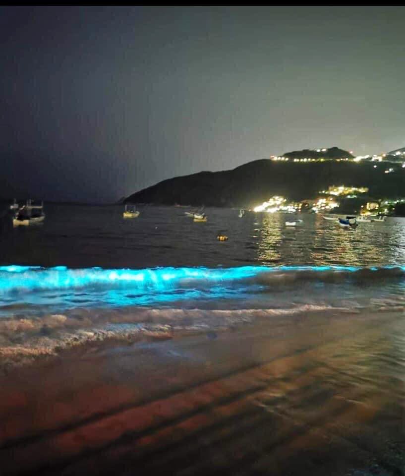 La naturaleza, haciendo de las suyas, llena de bioluminiscencia playas de Acapulco